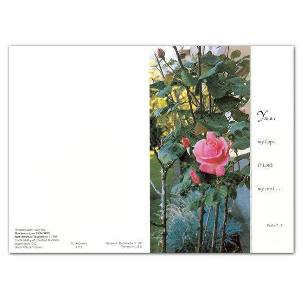 "You Are My Hope..." Sympathy/Deceased Mass Card - 50/box