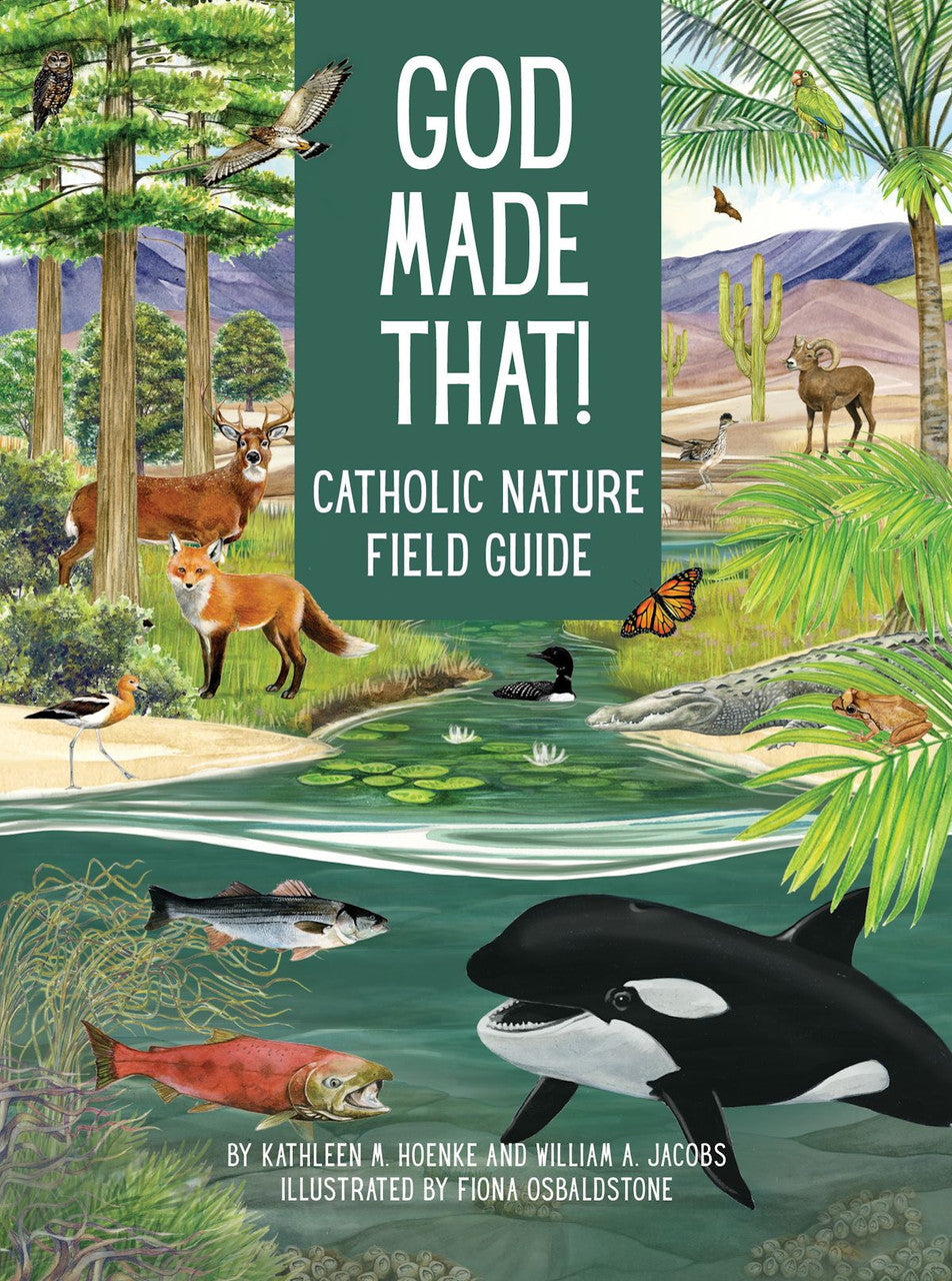 God Made That!: Catholic Nature Field Guide