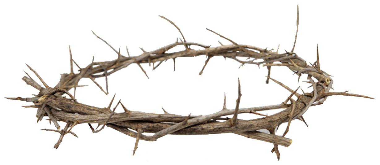 Handmade Crown of Thorns - 3 Sizes