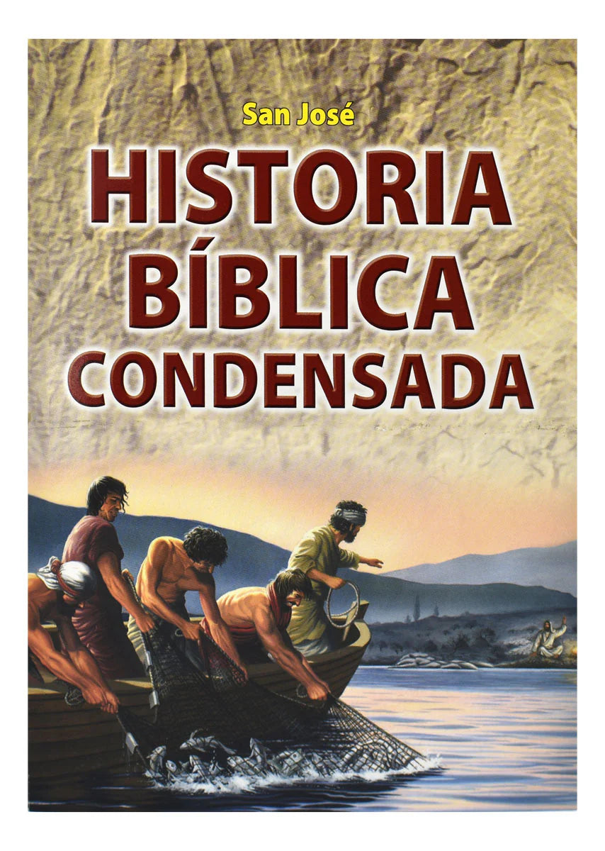 Concise Bible History