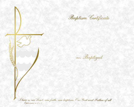 Parchment CYO Baptism Certificate (50/box)