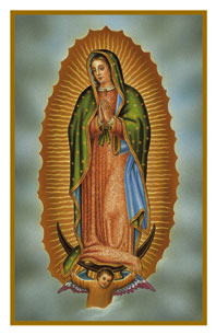 Our Lady of Guadalupe Holy Card (100/box)