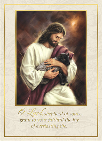 Jesus our Shepherd Mass Card (50/box)