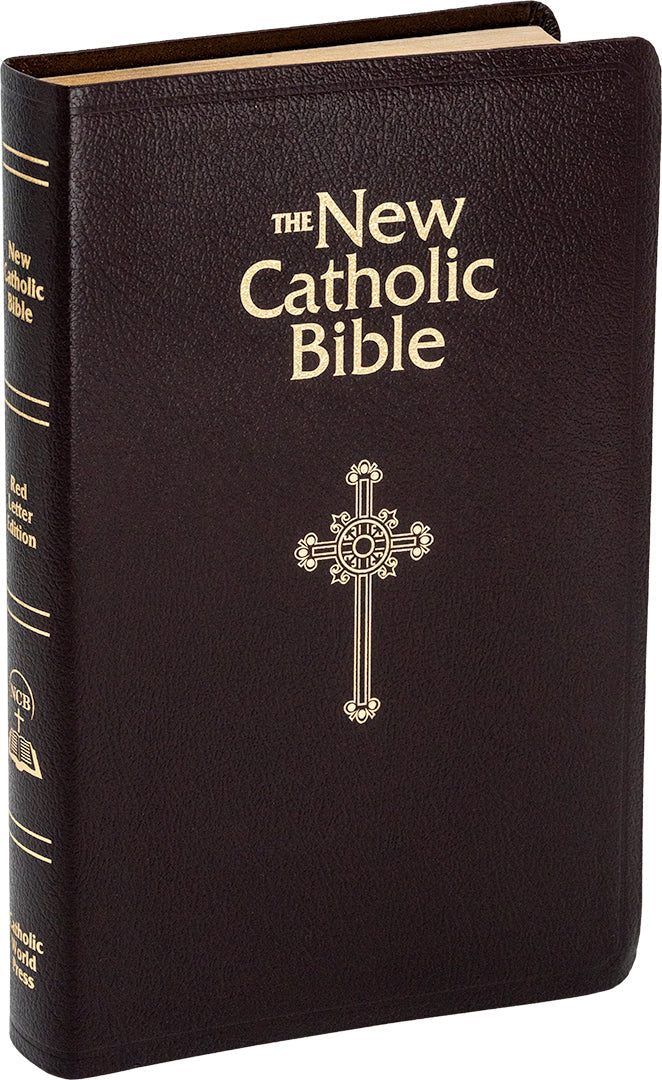 NCB Deluxe Gift Bible